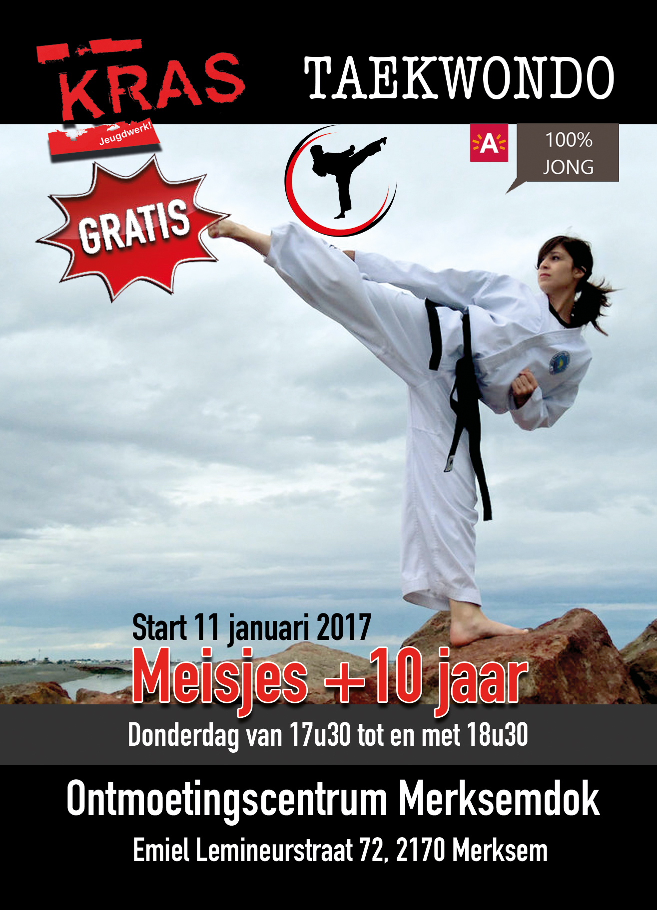 Taekwondo Poster