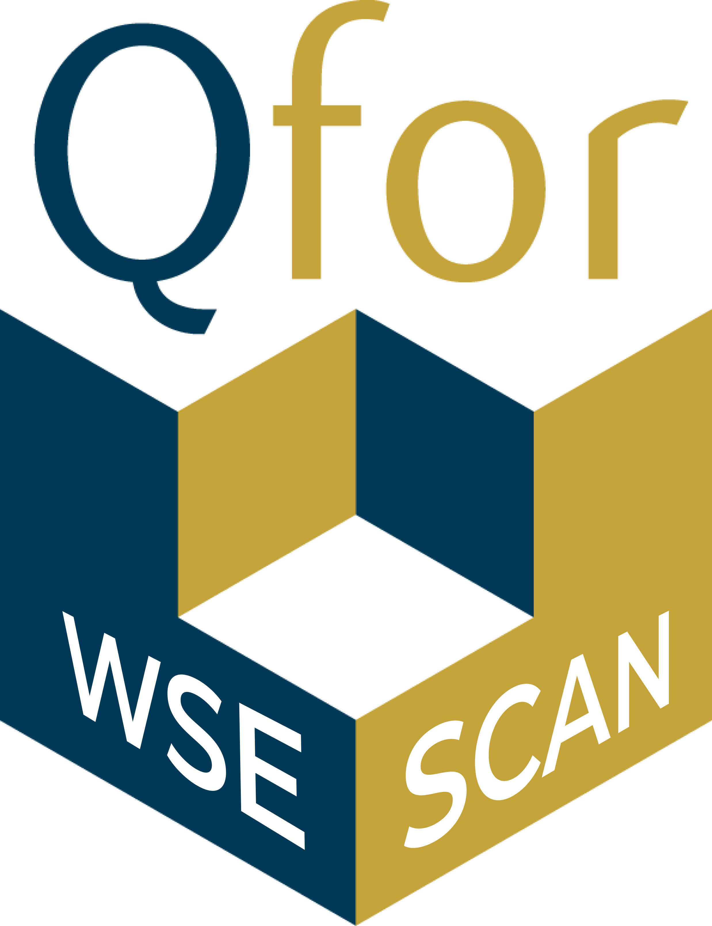Qfor WSE
