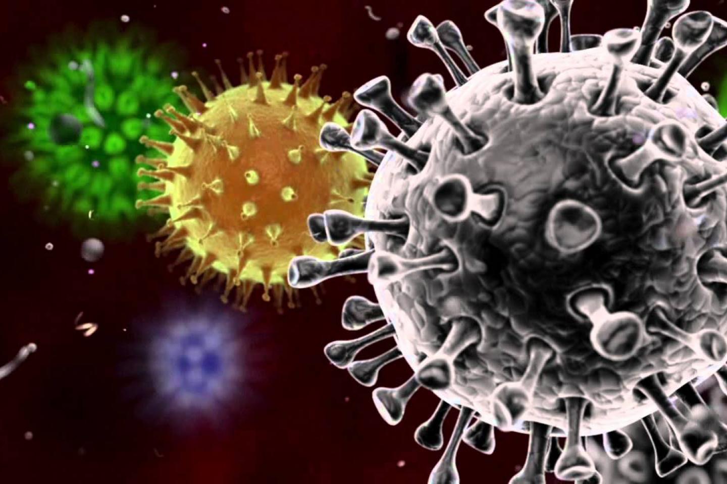 Belangrijk bericht ivm coronavirus