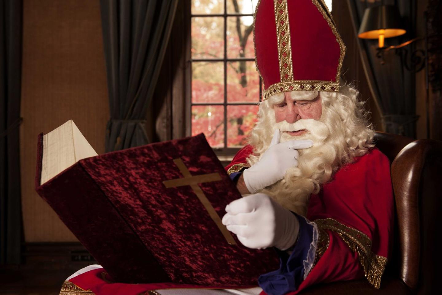 Sinterklaasfeest