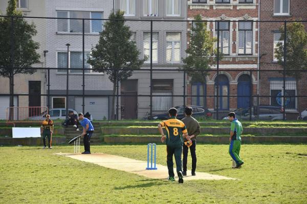 cricket