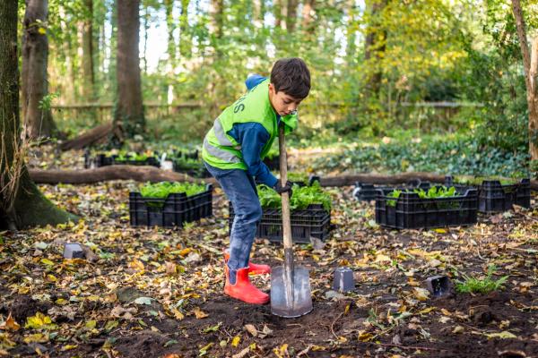 Kras Zuid plant een bos!